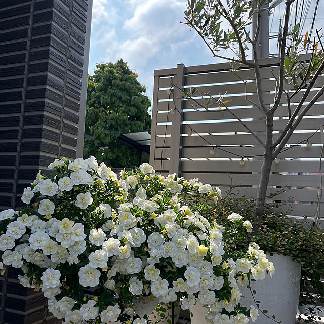 tomokokoさんの部屋