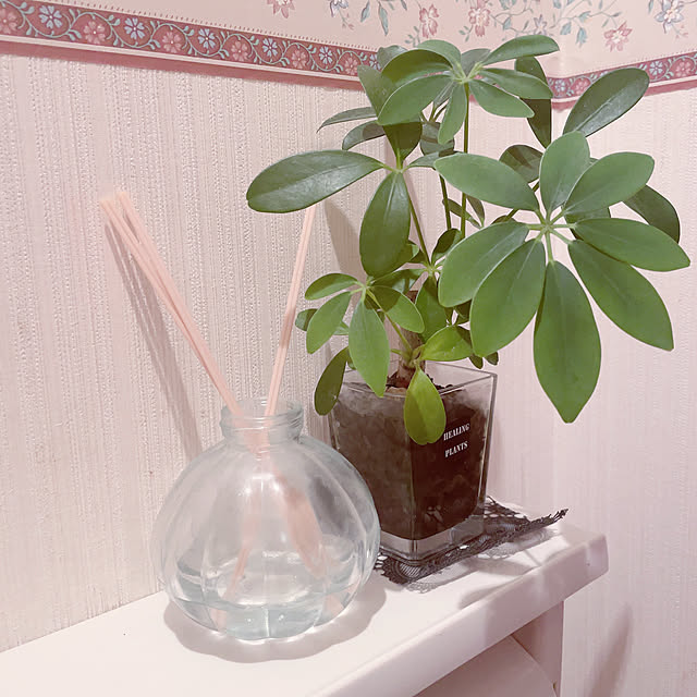 Blue_moonさんの実例写真