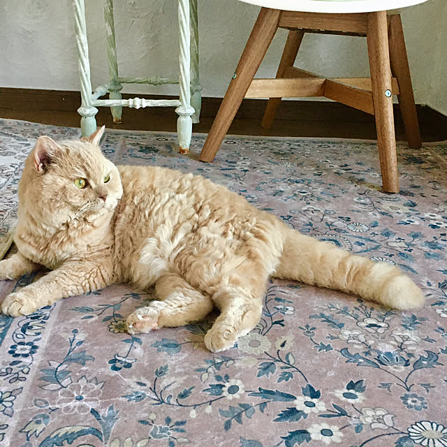 naokoさんの部屋