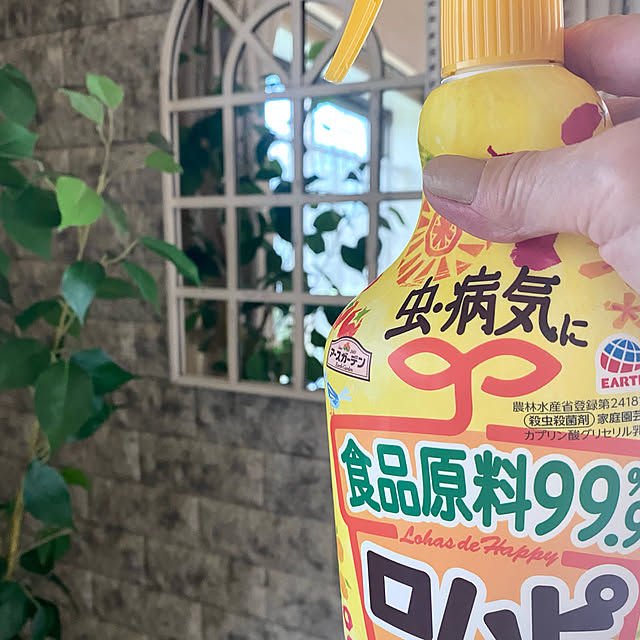 YuuKoさんの実例写真