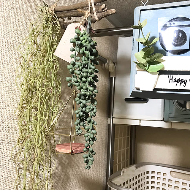 watakoさんの実例写真