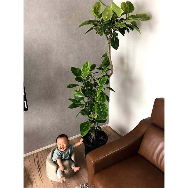moonlighthairさんの実例写真