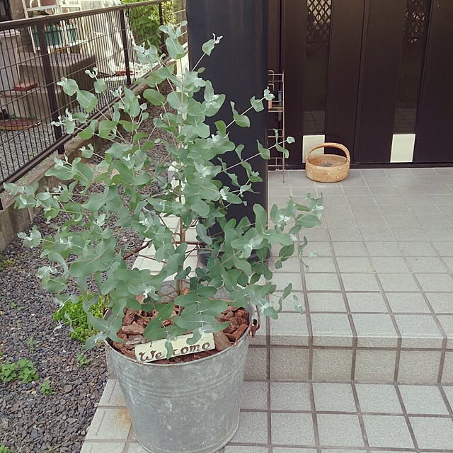 mojyuさんの実例写真