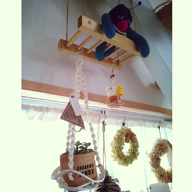 kotaさんの実例写真
