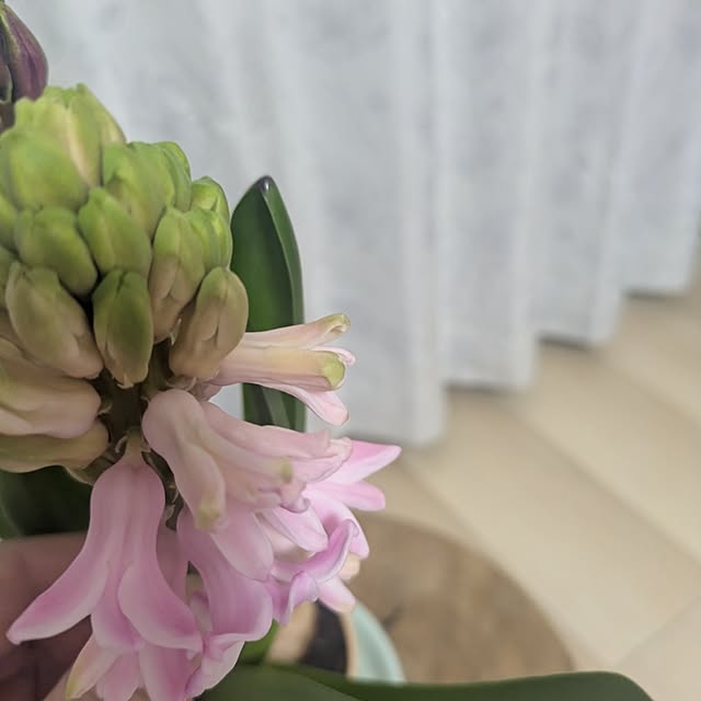 minnieさんの部屋