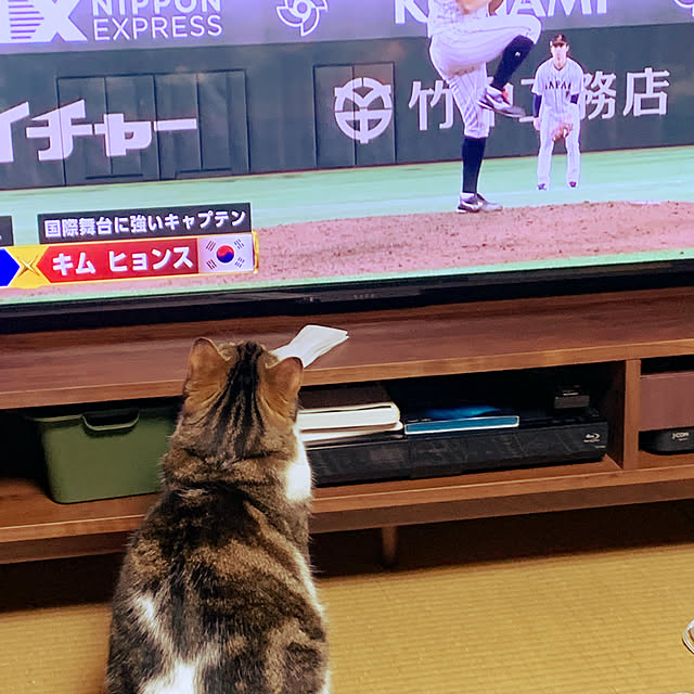 choroさんの実例写真