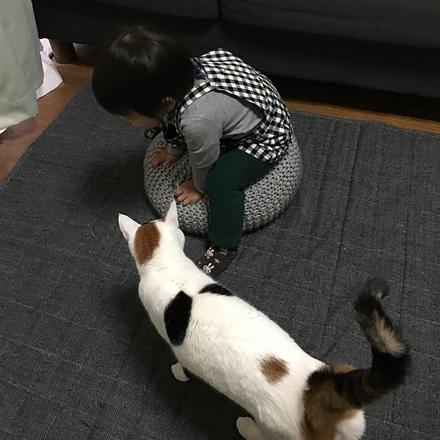 ichi.さんの実例写真