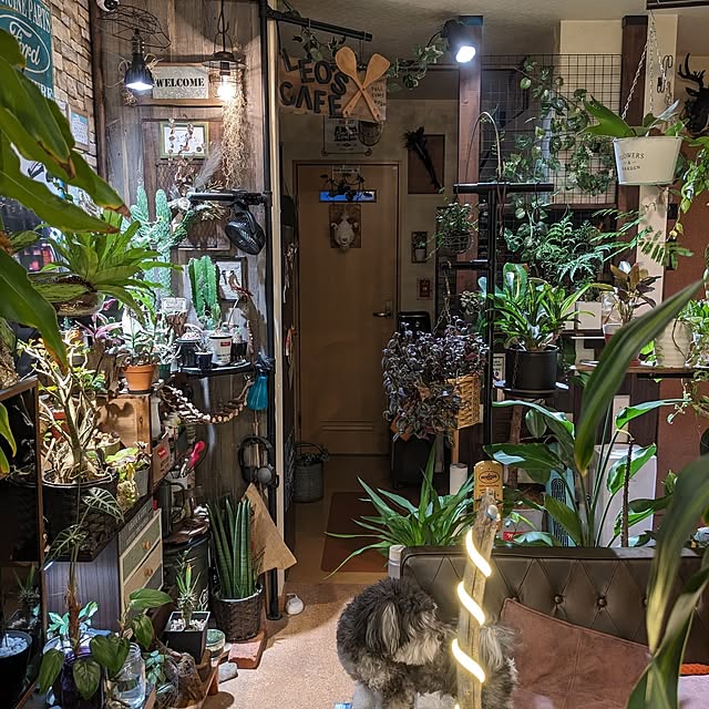 GINさんの部屋