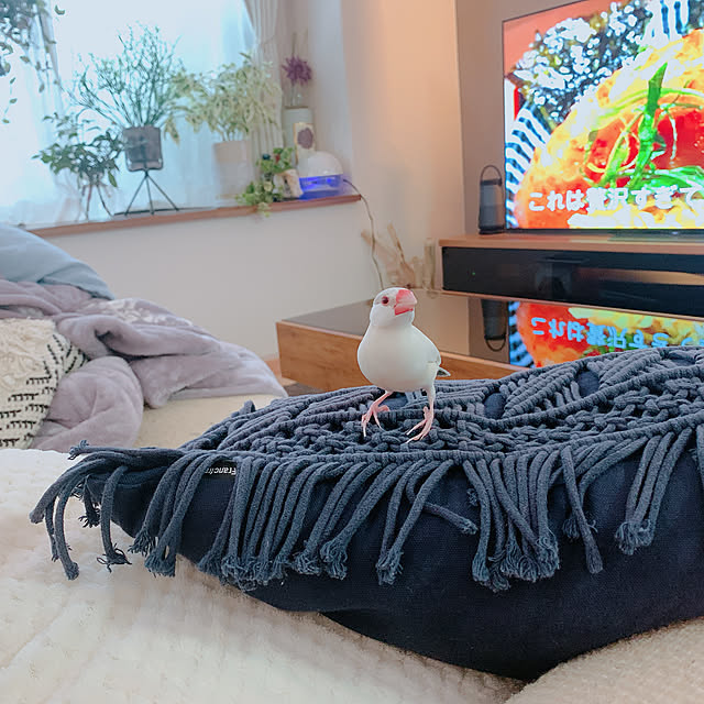 Tenさんの実例写真