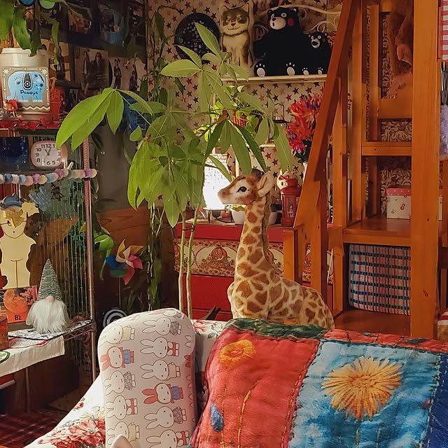 kumutanさんの実例写真