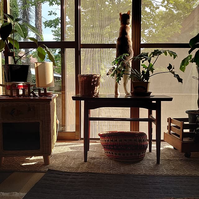 fukuさんの部屋