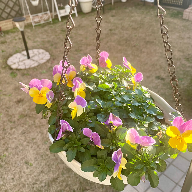 YuuKoさんの実例写真