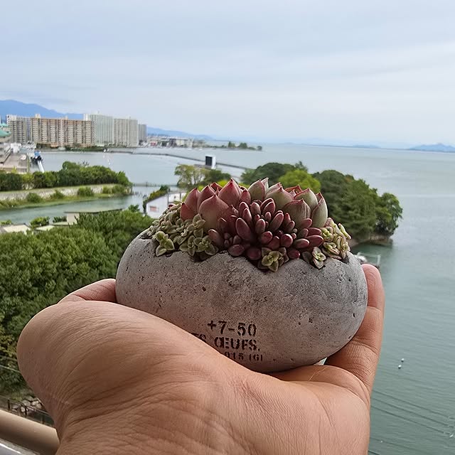 実例写真