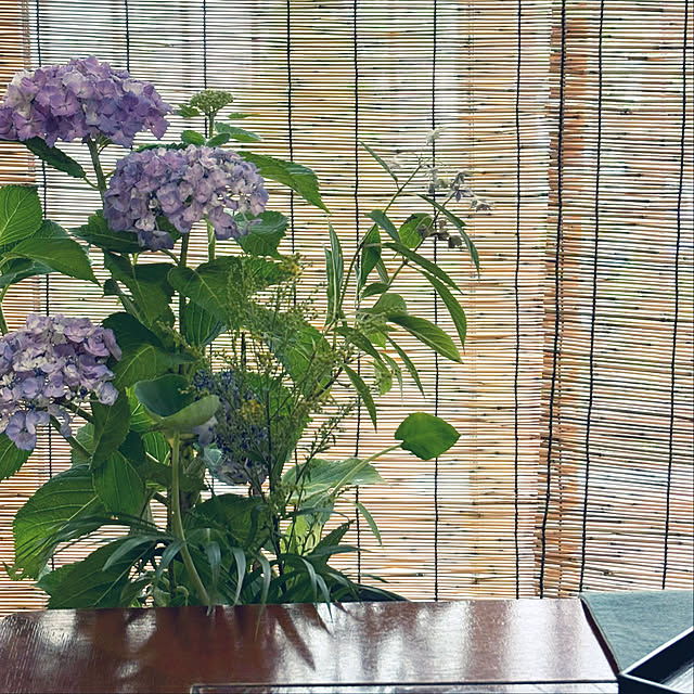 syutmmさんの部屋