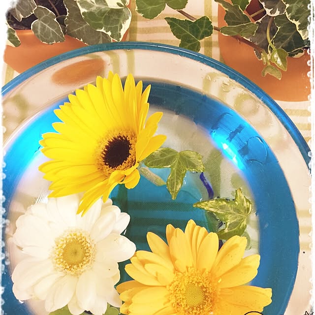 hana.さんの実例写真