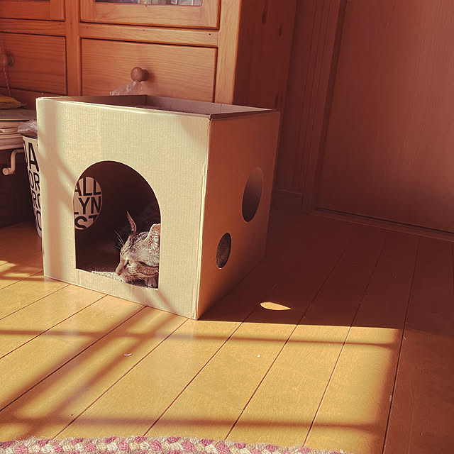 cottontailさんの実例写真
