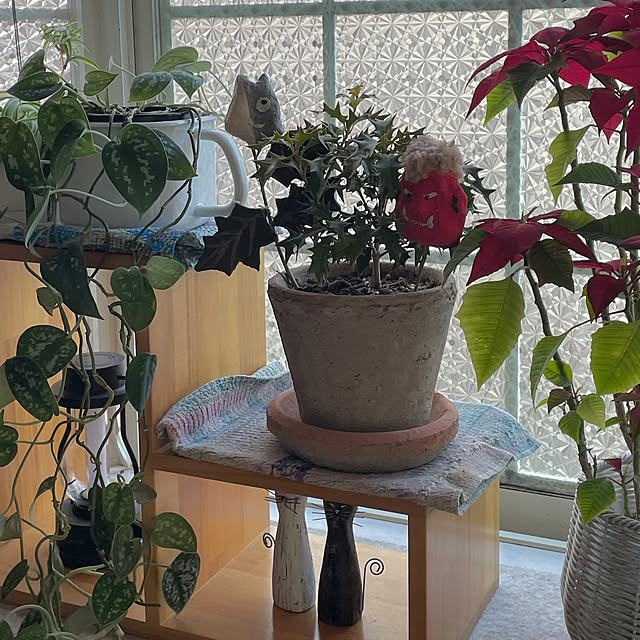 nobikoさんの部屋