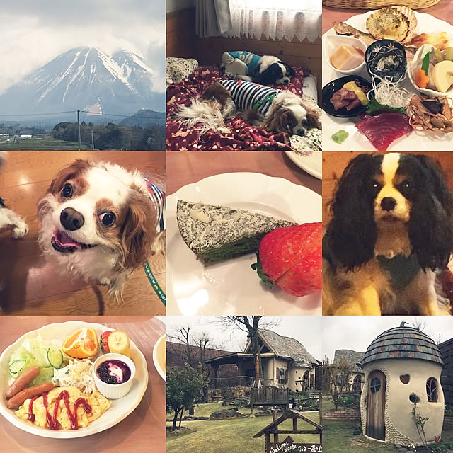 実例写真