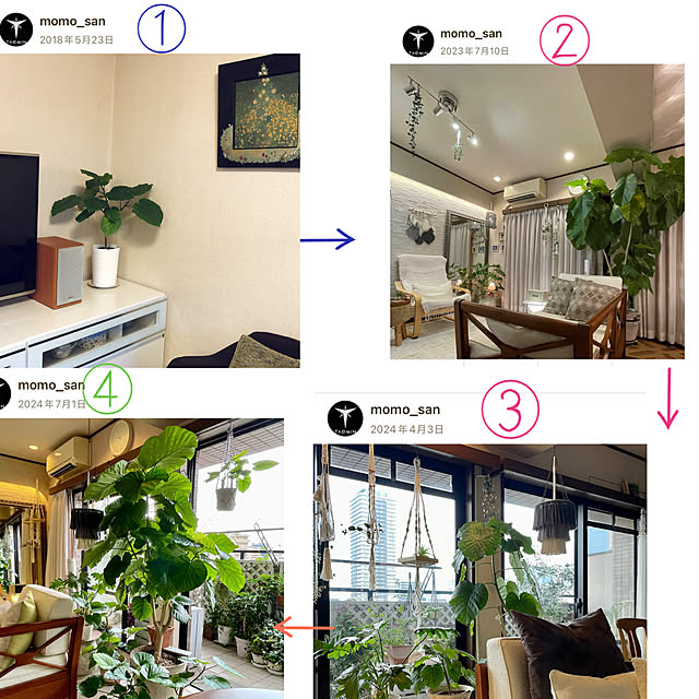 momo_sanさんの実例写真