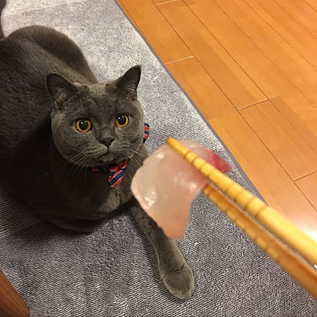 Shojiさんの実例写真