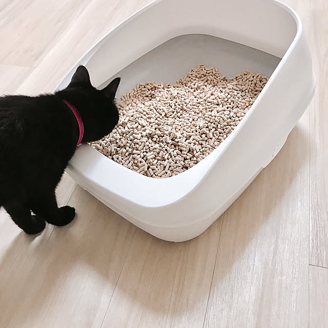 kuroさんの実例写真