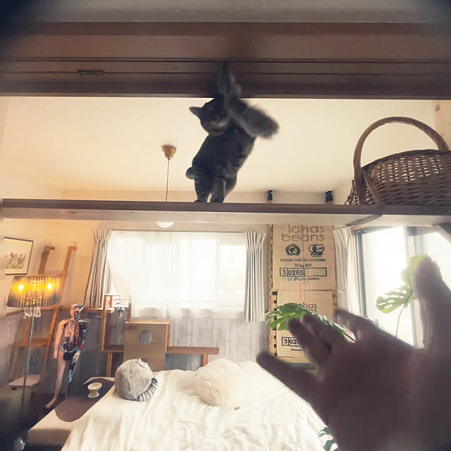 Mさんの部屋