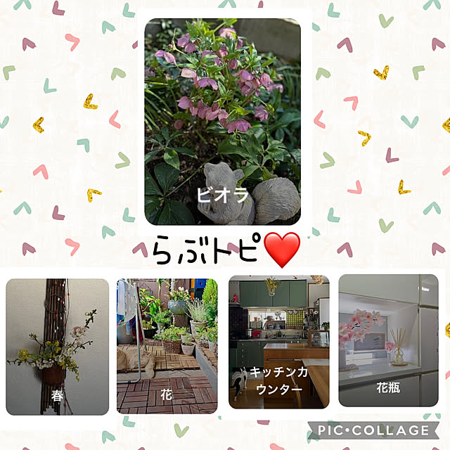 CoCo0617さんの実例写真