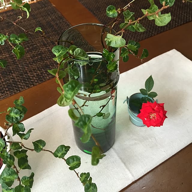 koihiさんの実例写真