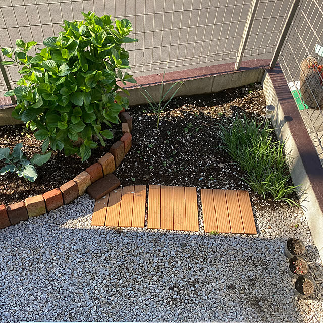 momoさんの部屋