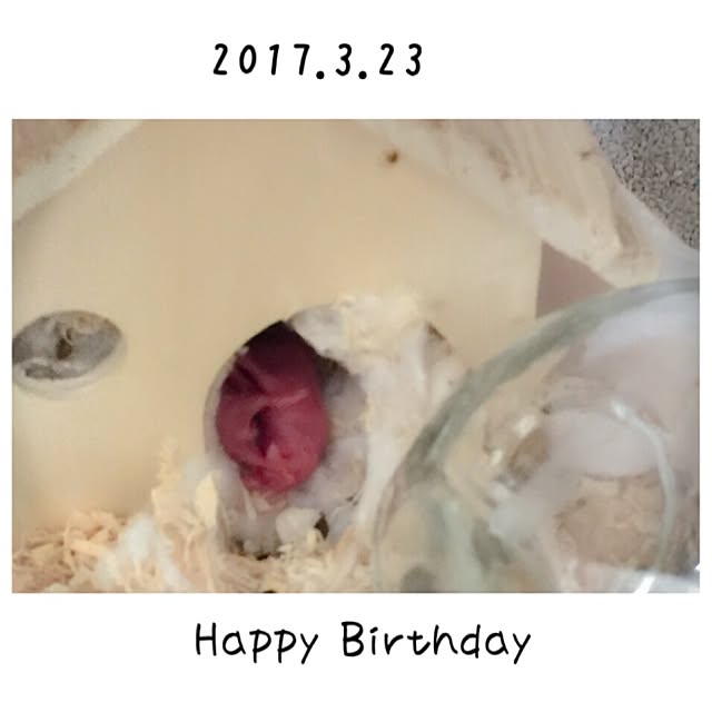 Yukoさんの実例写真