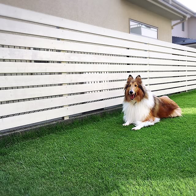 mimikikiさんの実例写真