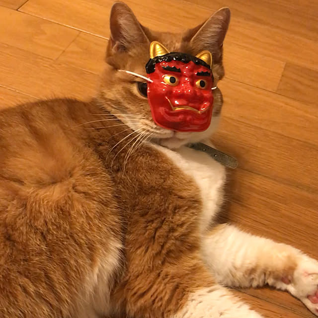 実例写真