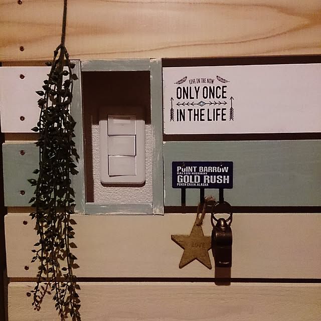SMHRRさんの実例写真