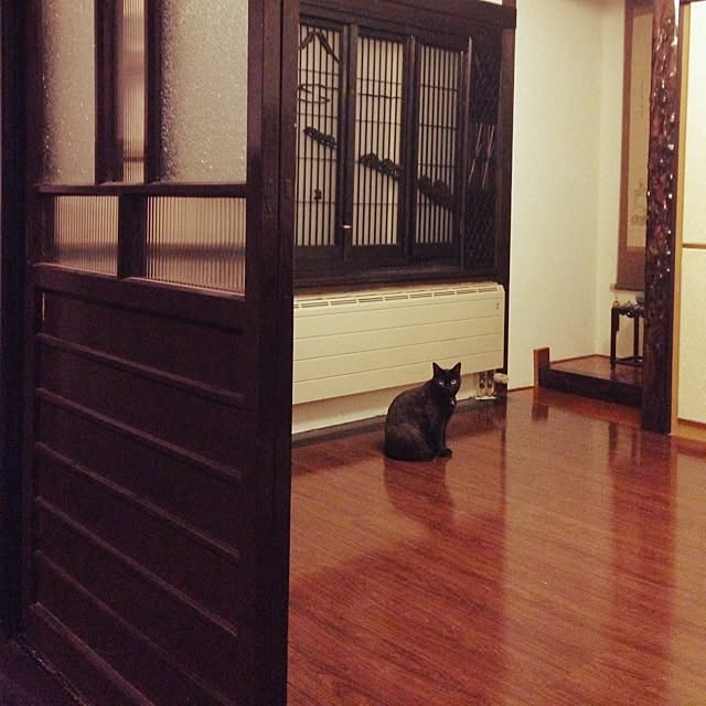 PINOさんの実例写真