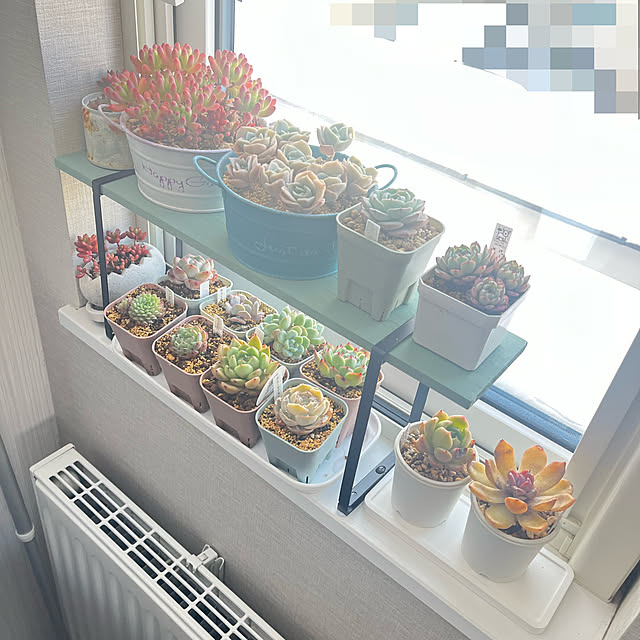 unichanさんの部屋