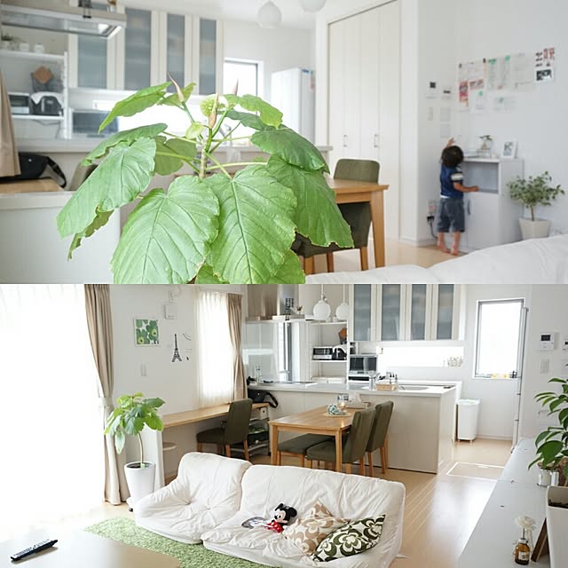 picklesさんの実例写真