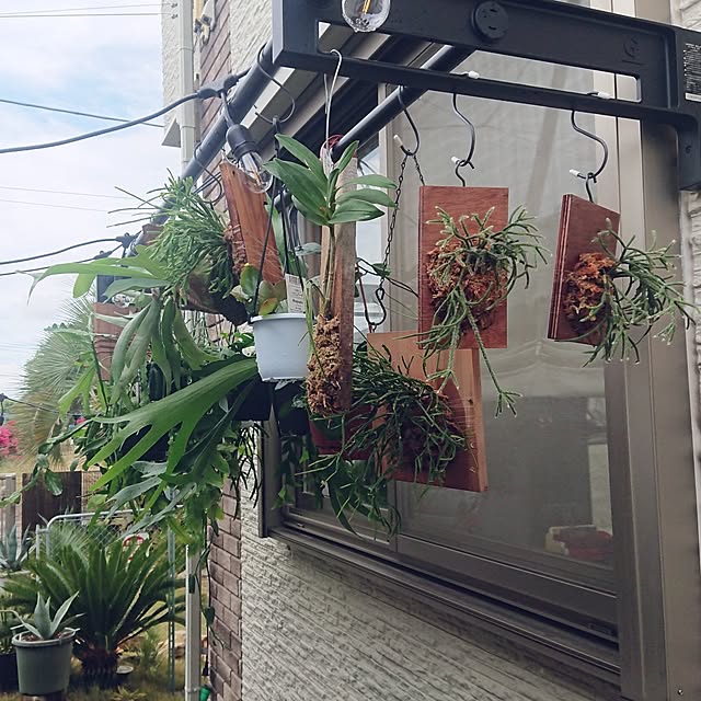ot-gardenさんの部屋