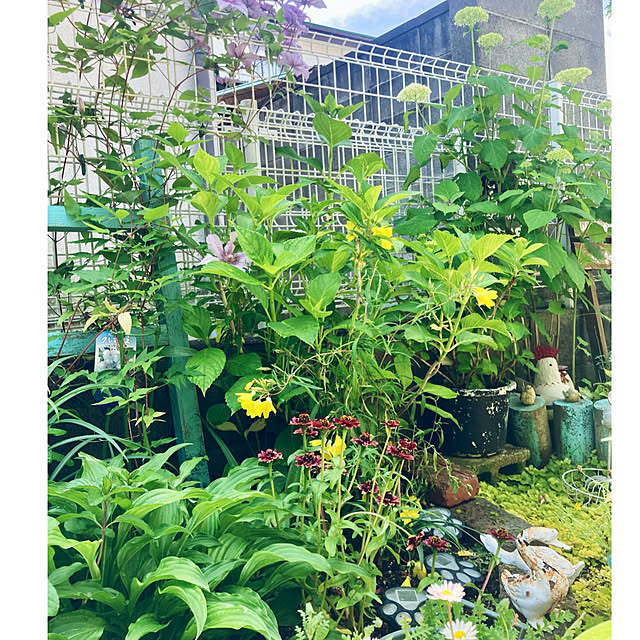 CoCo0617さんの実例写真