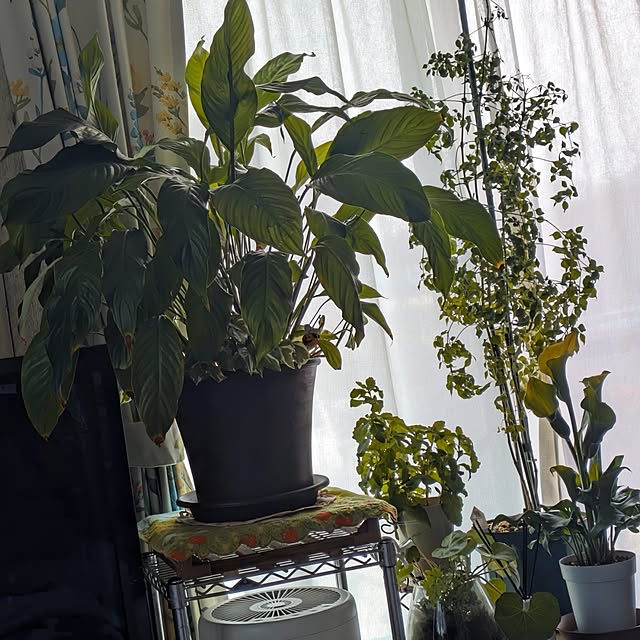 quanshanxia037さんの部屋