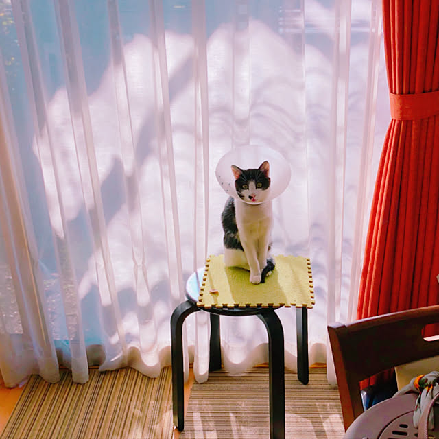 bibiさんの実例写真