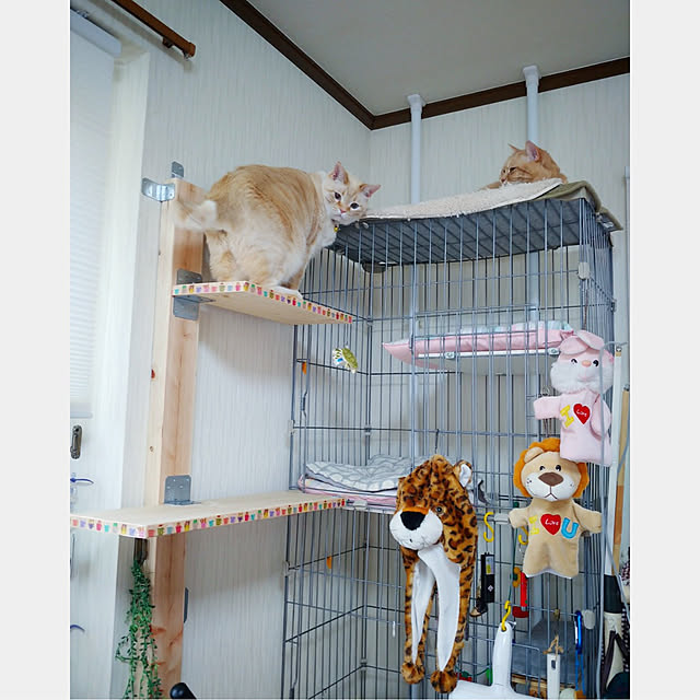 mntcさんの実例写真
