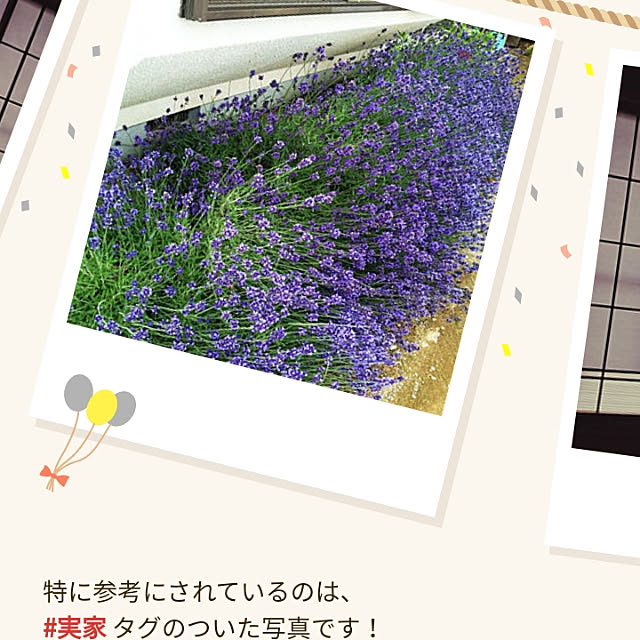 hiroさんの実例写真