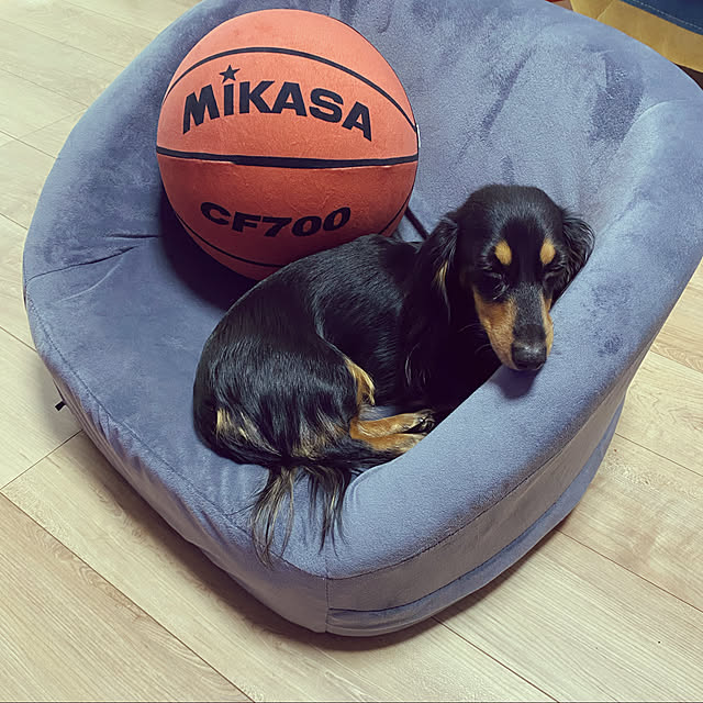 uninekoさんの実例写真
