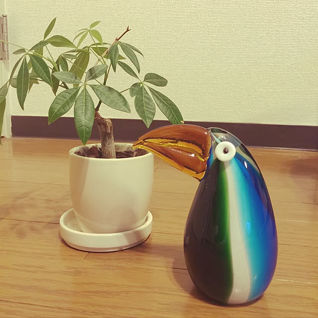 Takuyaさんの実例写真