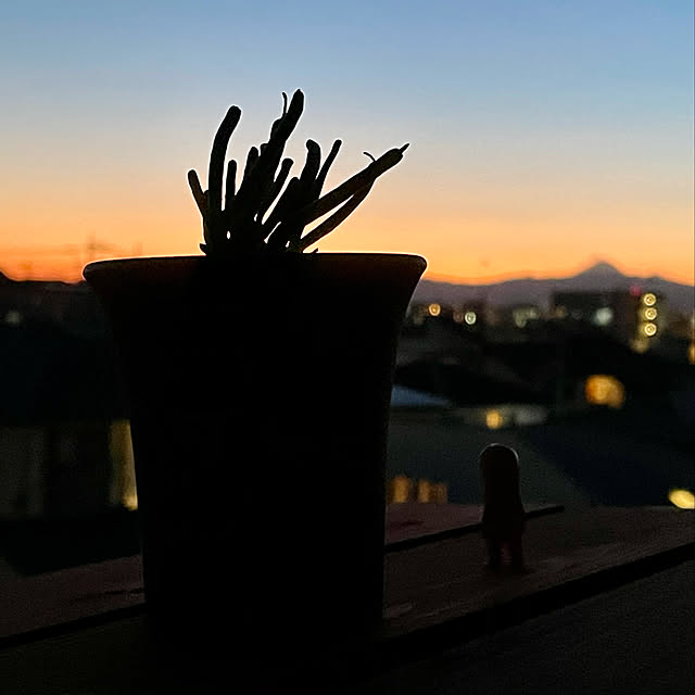 fukumaruさんの実例写真
