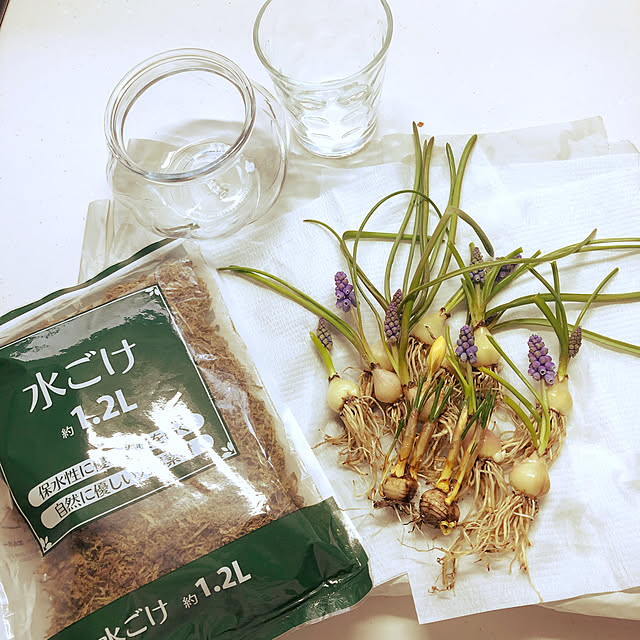 kyoko1124koさんの実例写真