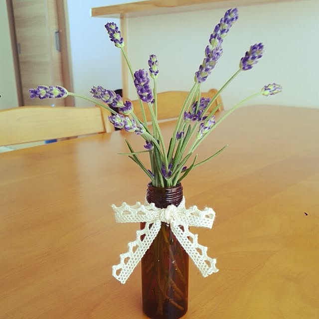 Mikaさんの実例写真