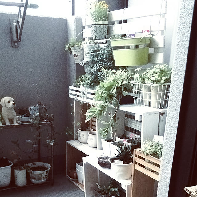 REI.DIYさんの実例写真
