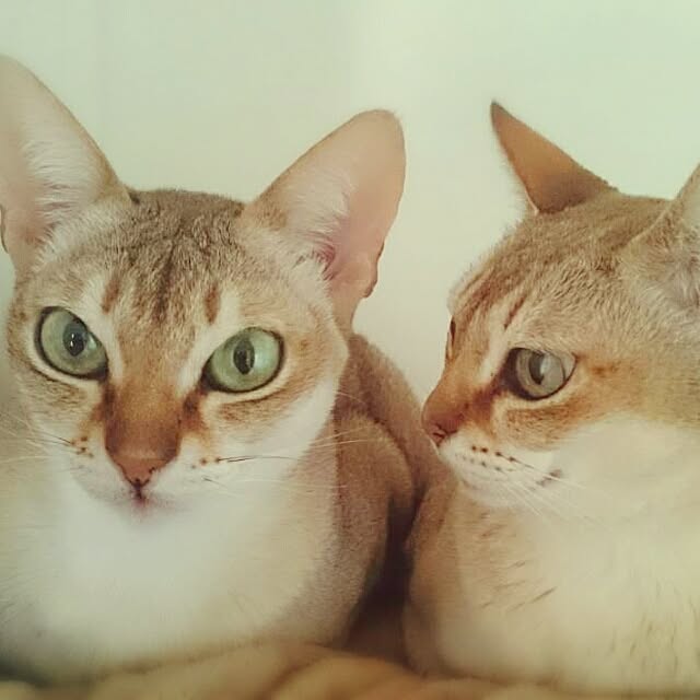 Jcさんの実例写真