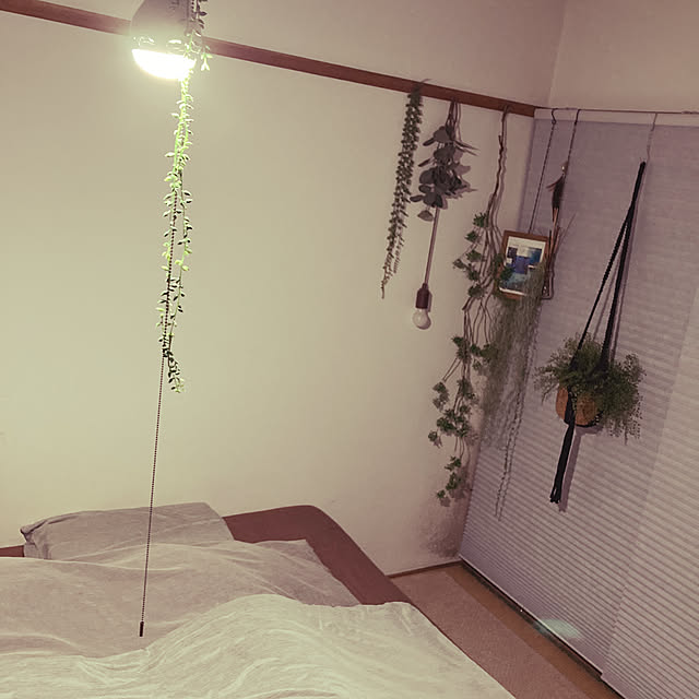 purifyさんの実例写真